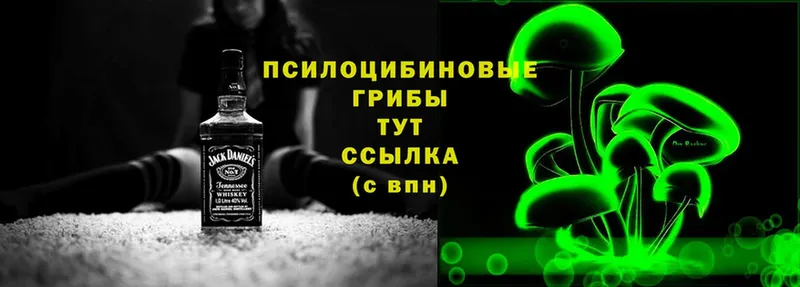 Псилоцибиновые грибы MAGIC MUSHROOMS  наркотики  Бологое 